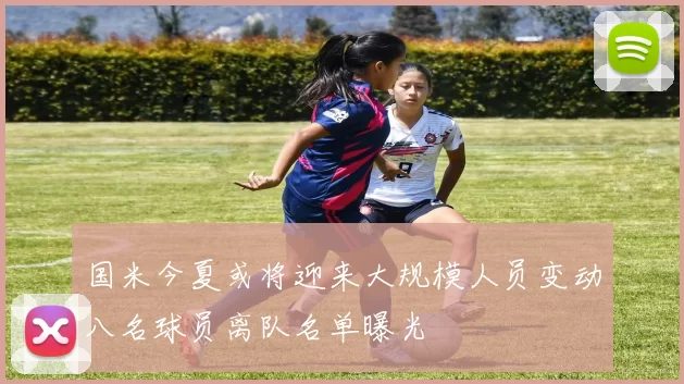 国米今夏或将迎来大规模人员变动八名球员离队名单曝光